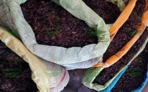 خرید کشمش ضایعاتی درجه 3 در تهران