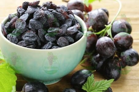فروش آنلاین انواع کشمش مویز