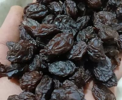 خرید اینترنتی کشمش آفتابی در ایران 9 خرید اینترنتی کشمش آفتابی در ایران