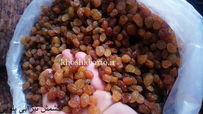 قیمت کشمش قزوین
