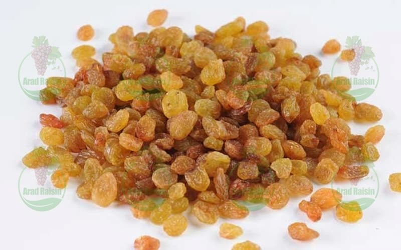sultana