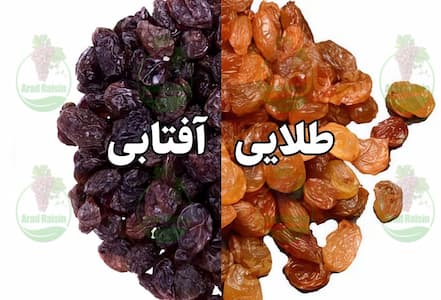 قیمت روز کشمش پلویی درجه یک