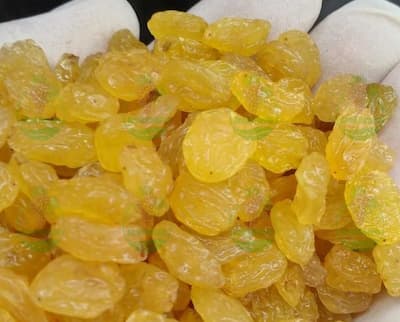 کشمش انگوری، پلویی زرد، کالیفرنی یا طلایی | بهترین کشمش صادراتی ایران را بیشتر بشناسید.
