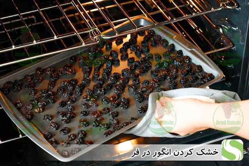 آیا قیمت کشمش بالا میرود